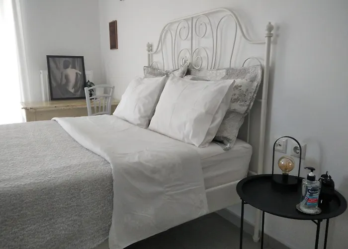 The Beekeeper\'S Apartment